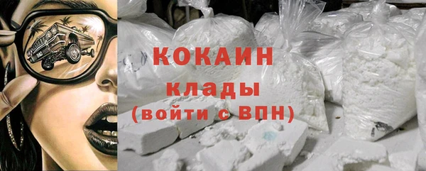 шишки Слюдянка