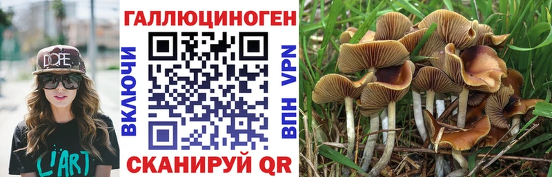 Псилоцибиновые грибы Psilocybe  mega зеркало  Вуктыл 